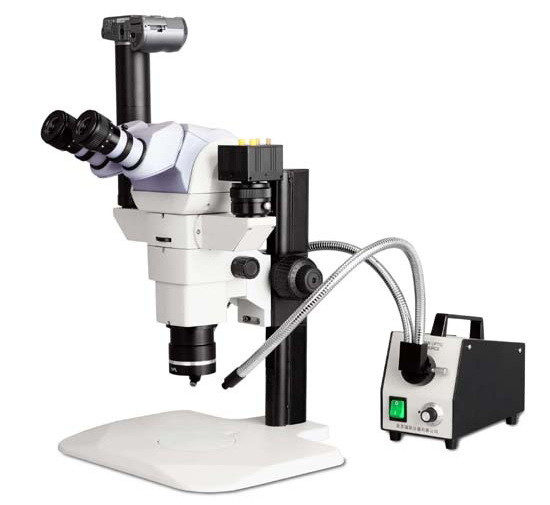 Parallel Optical Path Stereo Microscope iqualitrol iStereo-SZ66 with Magnificati