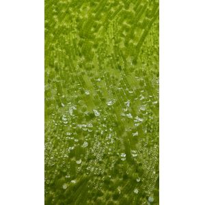 Sequin Embroidery Fabric Durable and Elegant Luxary Embroidery Fabric Wedding