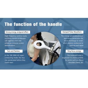 Pulsed Physiotherapy Electromagnetic Pemf Magnetic Therapy Device Bracelet