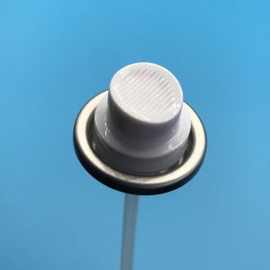 Buy cheap 25.4mm Stainless Steel Spring Spray Paint Valve with Inner Gasket Buty U-133 from wholesalers