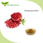 Buy cheap Green Plant Herbal Extract Anti Cancer Pomegranate Extract Ellagic Acid from wholesalers