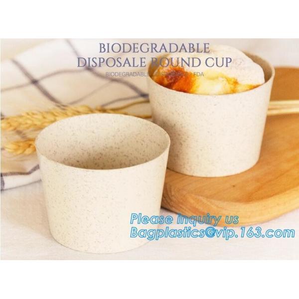 Wheat straw Compostable PLA eco-friendly biodegradable Biodegradable ECO