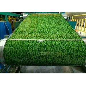 Buy cheap OEM Customized 0.12-2.0mm ASTM/GB/JIS/EN Standard PPGI/PPGL Prepainted Galvanized Steel Coil from wholesalers