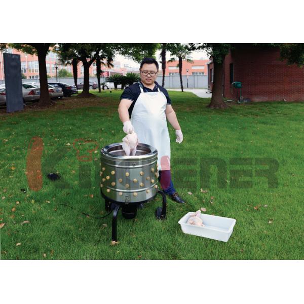 Quality Small Pro Quail Plucker Bantam Chicken Pigeon Dove Game Hen Poultry Chicken Defeather for sale