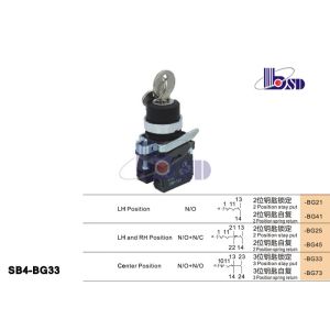 Professional Electrical Selector Key Switch ROHS And UL Certified