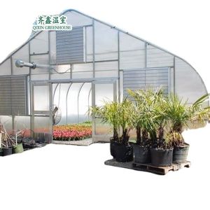 Small Garden Greenhouses With Double Layer And Automatic Control Box