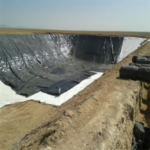 Buy cheap Contemporary Design Style Anti-uv Hdpe Pond Liner for Pond Dam and Geomembrane from wholesalers