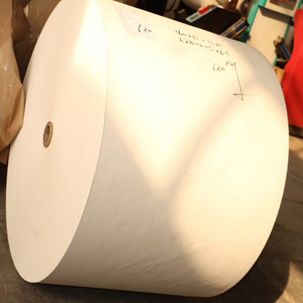 Quality paper roll with flexo pinting for making cup,single wall pe coated paper for cups for sale