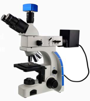 Buy cheap WF10X 20mm Eyepiece Binocular Trinocular Metallurgical Microscope 80X 20X from wholesalers