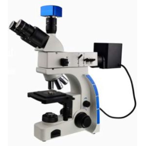 Buy cheap WF10X 20mm Eyepiece Binocular Trinocular Metallurgical Microscope 80X 20X from wholesalers