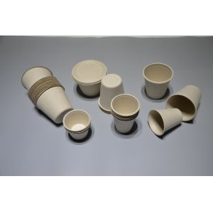 Automated Biodegradable Sugarcane Bagasse Pulp Molding Machine With Double