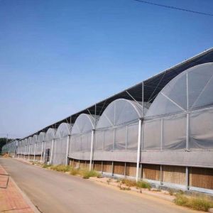 Buy cheap Seedling Cultivation Juxiang Hydroponic Farm Film Greenhouse with Customized Request from wholesalers
