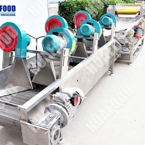 Rotary Impeller Vegetables Processing Line 2000KG Vegetables Washing Machine