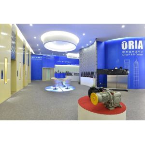 ORIA Affordable and Safe Comfortable and Silent passenger elevator