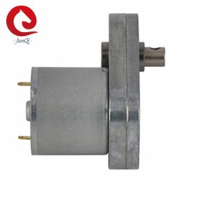 Small DC Gear Motor 24V Low RPM Electric Variable Speed Gear Motor JQM-65SS3525