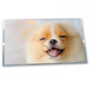 Buy cheap 7.0-Inch WLED TFT LCD Display Module AT070TN07V.D with 480*234 Resolution Various Applications ODM for LCD Modules from wholesalers