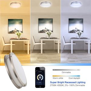 Buy cheap RGBCW LED Flush Mount Light Double Ring Brushed Nickel 16'' from wholesalers