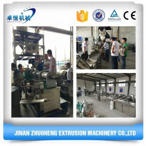 Macaroni Pasta Production Line with Fully Automatic Processing and Video