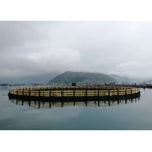 Customization Fishing Trap Aquaculture Net Cage for Crab Lobster Shrimp by