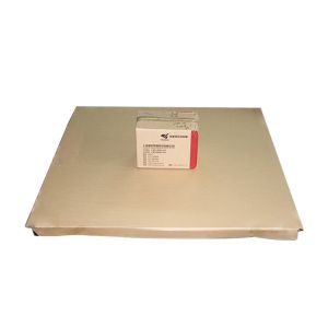 0.5KG Accuracy Livestock Weighing Scales 1000KG Multipurpose Digital Cattle