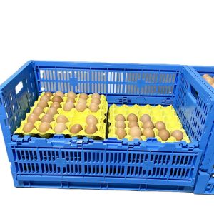 Buy cheap Mesh Style Foldable PP Plastic Egg Crate for Transportation in Poultry Meshy Box Design from wholesalers