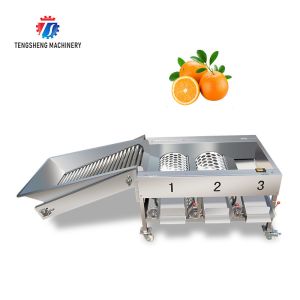 Buy cheap 150KG 380V Lemon screening and grading machine stainless steel fruit sorting machine citrus fruit sorting machine product