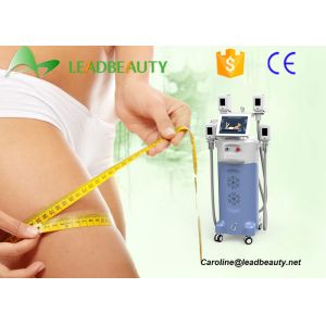 Buy cheap 2016 Beauty Salon Cryolipolysi Machine Freezing Fat Cell Slimming Machine from wholesalers