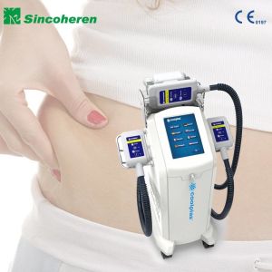Buy cheap Three Treatment Slimming Machine  Fat Freezing Machine 0-0.07MPa from wholesalers