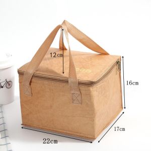Biodegradable Sustainable Recyclable Custom Tyvek Insulation Tote Lunch Bag 15L