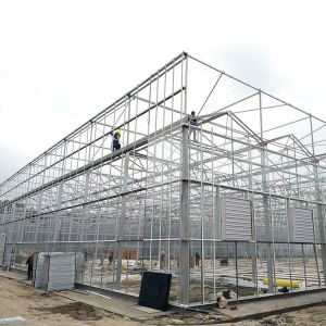 Buy cheap 8mm Float Glass Venlo Glass Greenhouse Hydroponic System Double Layer from wholesalers