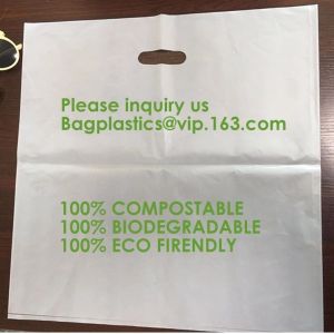 Biodegradable compostable plastic courier shipping envelope custom 10x13 matte