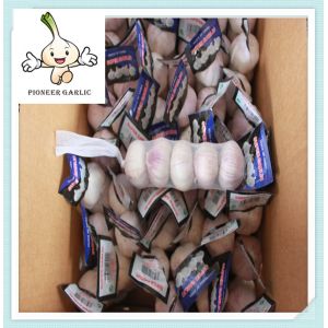 Buy cheap Super White Garlic Supplier For BRASIL good farmer garlic/fresh red garlic from wholesalers