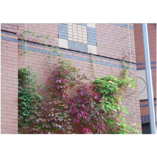 Quality High Strength SS Cable Mesh Easy Maintenance Durable Oxidize Resisting for sale