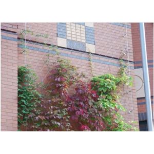 Buy cheap High Strength SS Cable Mesh Easy Maintenance Durable Oxidize Resisting from wholesalers