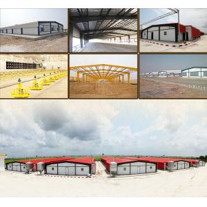 Buy cheap Poultry farming - we bring you the latest technology from wholesalers