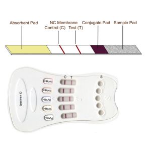 Buy cheap Personal HBV Combo Rapid HIV Test Kit Detect Hepatitis B Virus Multiple Cassette from wholesalers