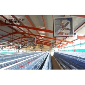 Hot Dip Galvanised Steel Structure Chicken Poultry Farm Shed for Heavy Load