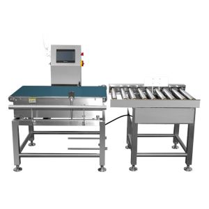 Automatic Stop Conveyor Weight Checker with Adjustable Belt Speed