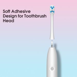 Hot Selling OEM Electric Toothbrush Recharge Type-C IPX7 Tooth Polish Cleaning