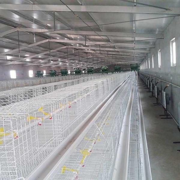Quality High Efficiency Broiler Chicken Cage Long Lifespan Environmental Friendly for sale
