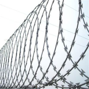 galvanized or stainless steel razor wire mesh/steel razor wire mesh/PVC coated