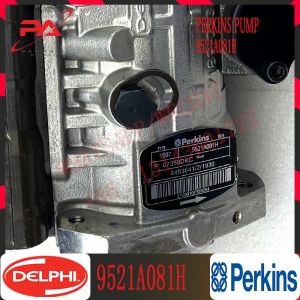 China E320D2 Excavator Diesel Fuel Injection Pump 9521A081H 9521A080H 449-3641 4493641 on sale