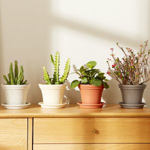 Buy cheap 15CM 6 Inch Intensification Plastic PP Resin Plant Pots Saucers from wholesalers