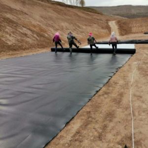 Modern Design Anti-Seepage Geomembrane Fish Pond Liner 0.5mm 1mm with Tear
