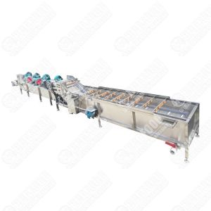 Commercial Chili Drying Machine Chili Processing Machine Salad Processing