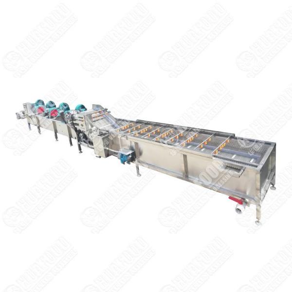 Commercial Chili Drying Machine Chili Processing Machine Salad Processing