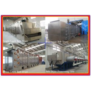 DWF Candied Fruit / Preserved Fruit / Confect Belt Dryer (Special Design)