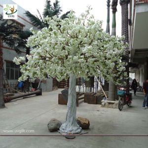 Buy cheap UVG wedding stage decoration use indoor white artificial cherry blossom trees for sale CHR011 from wholesalers
