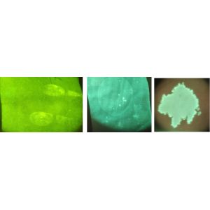 Buy cheap 0.87kg Multi-Band Uniform Light Source Made of all aluminum alloy through precision carving and processing from wholesalers