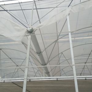 Buy cheap Inner Shading System Side Ventilation Multi Span Greenhouse Automatic Control from wholesalers